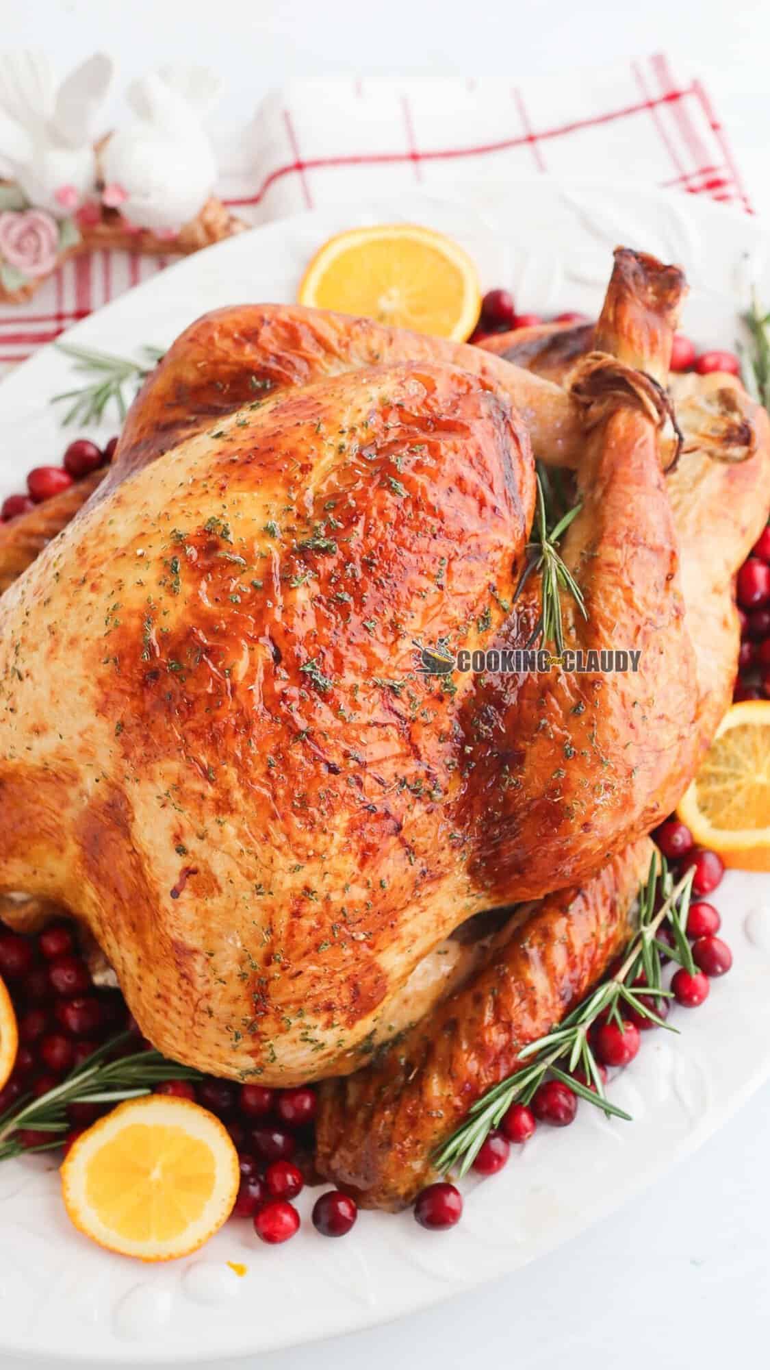 crispy, golden brown skin on a roasted whole turkey. 