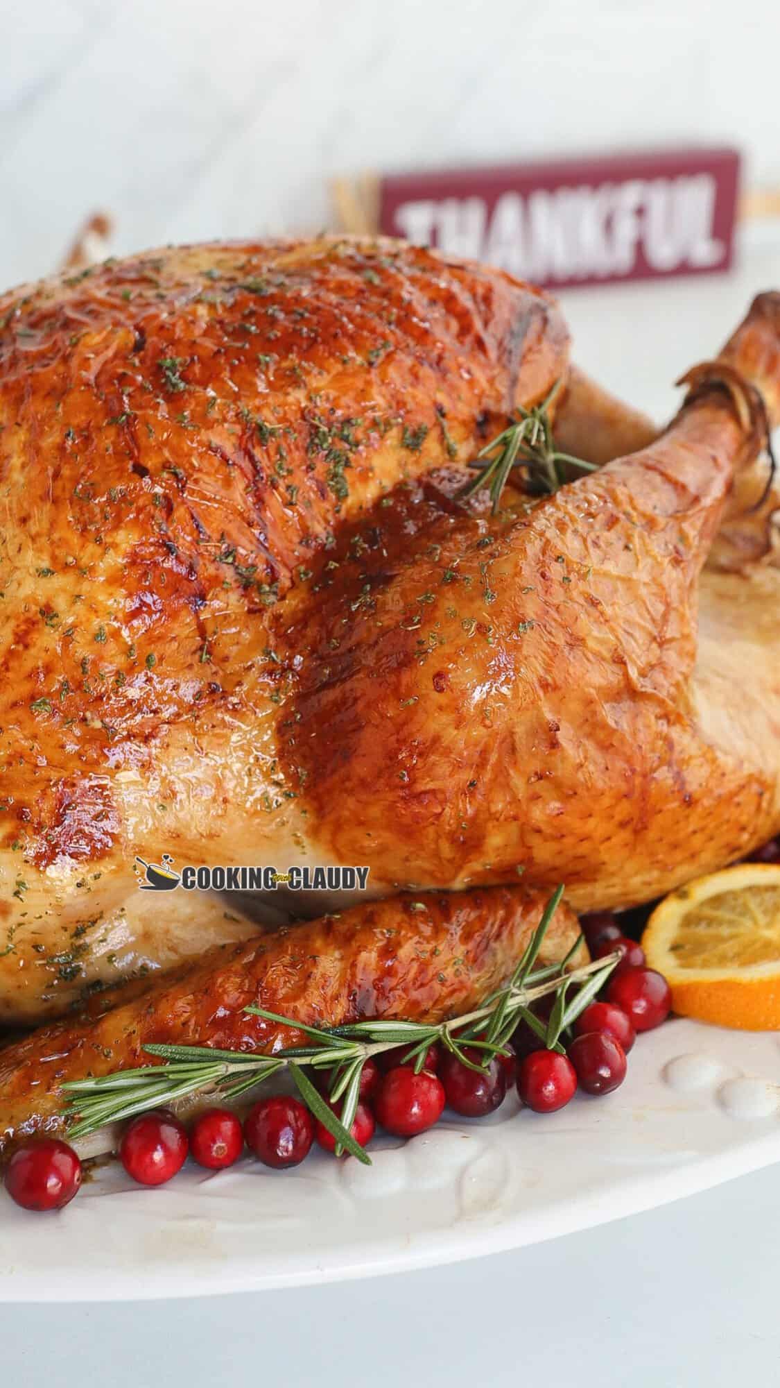 crispy, golden brown skin on a roasted whole turkey. 